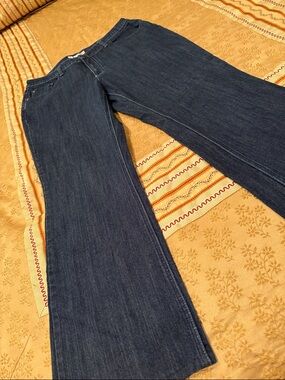 Chico’s Dalton Libbie MR Jeans, Dark Blue, Embroidered Pockets, 2R: 12-14 Large